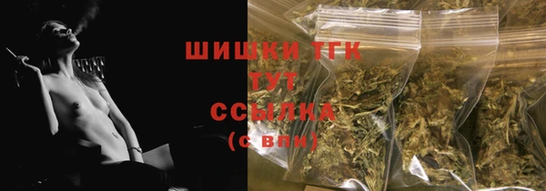 эйфоретик Карпинск