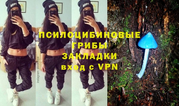 эйфоретик Карпинск
