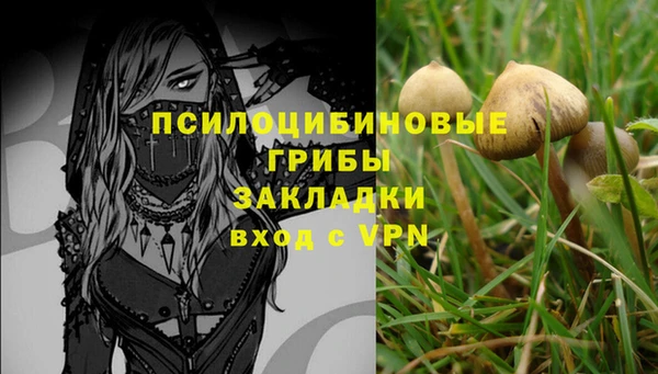 стафф Кинешма