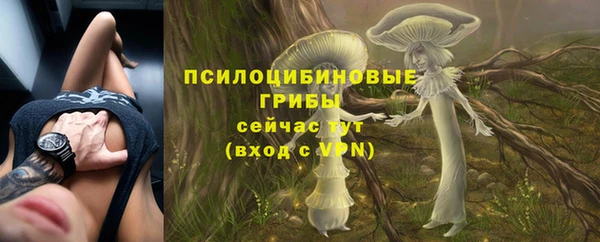 круглые Карталы