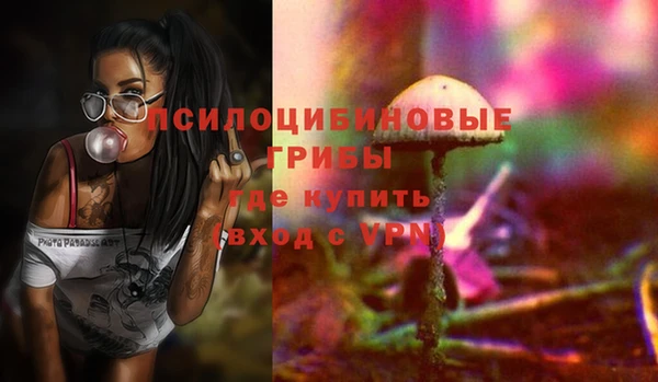 Альфа ПВП Касимов