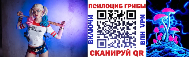 Купить где  Рыбное  Галлюциногенные грибы мицелий 